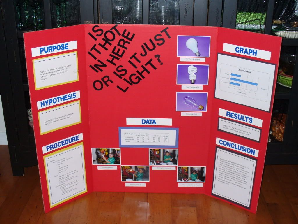 Science Projects 3rd Grade Good Science Project Ideas